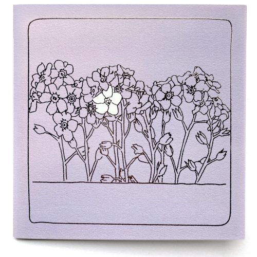15x15 cm