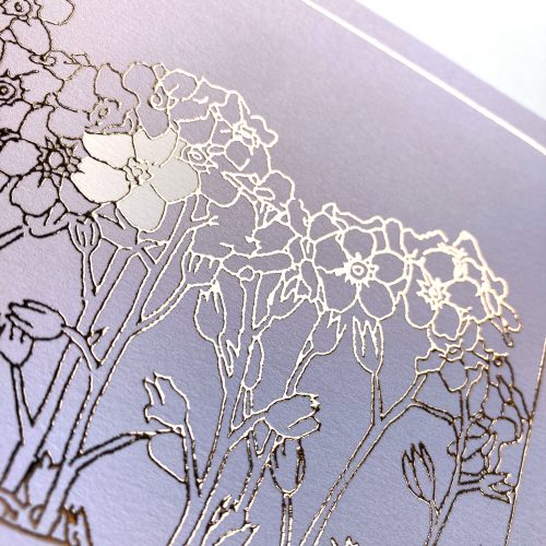 detailbloemwit